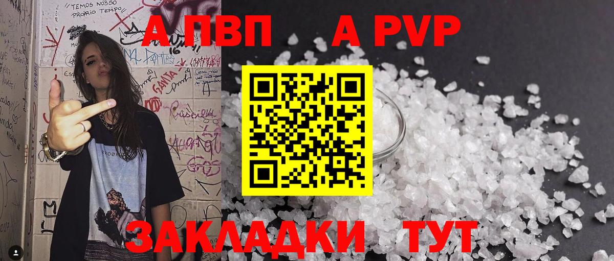 A-PVP СК КРИС Новосибирск