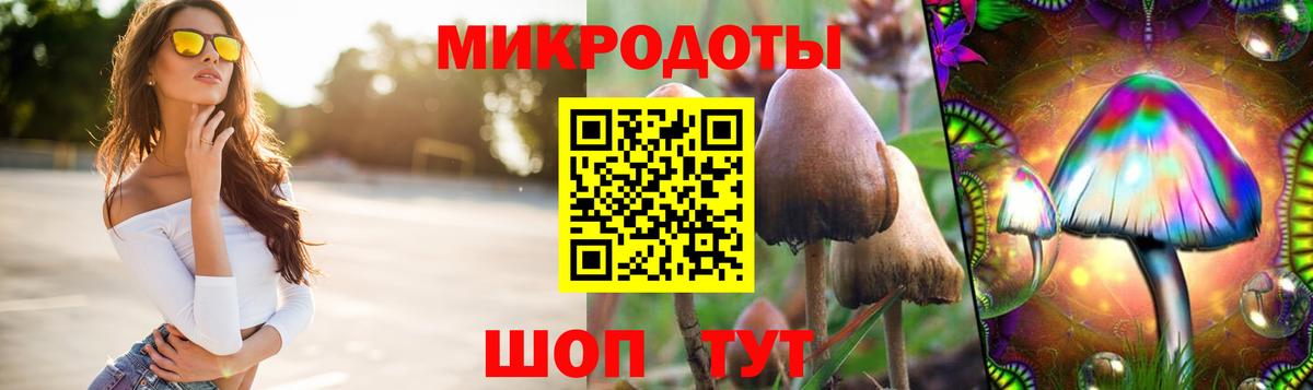 Новосибирск  Псилоцибиновые грибы GOLDEN TEACHER  Вход с VPN 